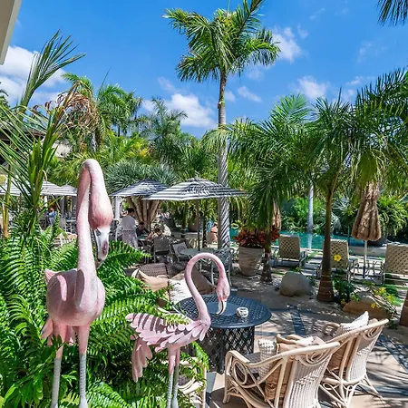 Hotel Royal River, Luxury - Adults Only