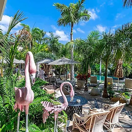 Royal River, Luxury - Adults Only